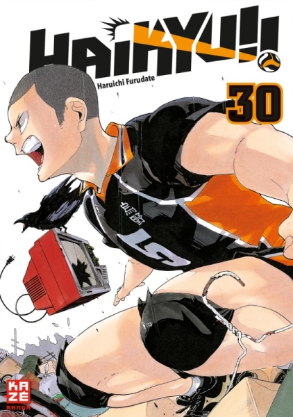 Haikyu!! 29